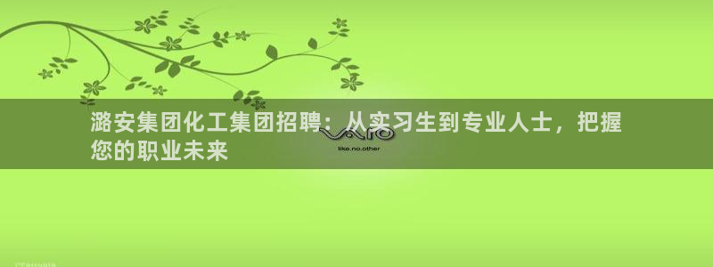 球盟会在线登录：潞安集团化工集团招聘：从实习生到专业人士，把